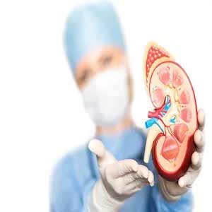 Nephrology and Kidney Transplant