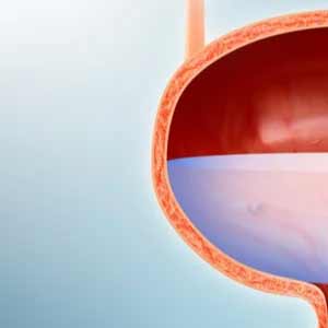 Urology